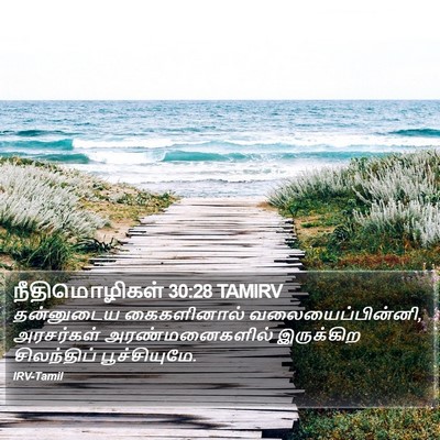 நீதிமொழிகள் 30:28 TAMIRV Bible Verse Image
