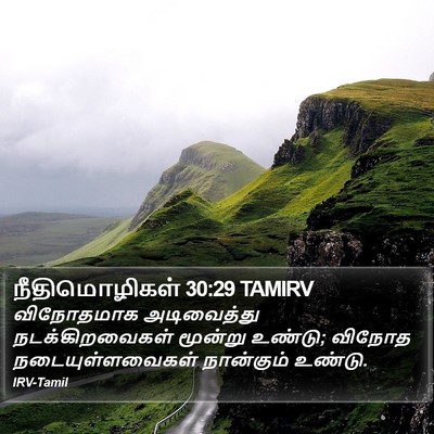நீதிமொழிகள் 30:29 TAMIRV Bible Verse Image