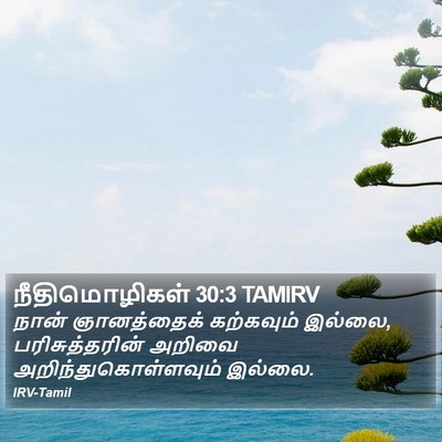 நீதிமொழிகள் 30:3 TAMIRV Bible Verse Image