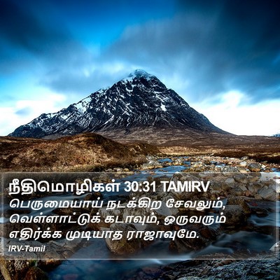 நீதிமொழிகள் 30:31 TAMIRV Bible Verse Image