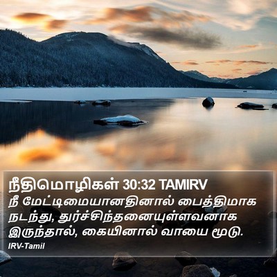 நீதிமொழிகள் 30:32 TAMIRV Bible Verse Image
