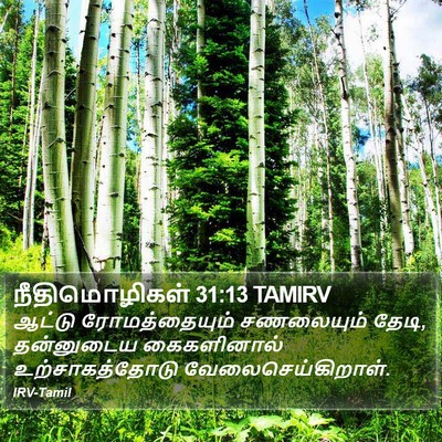 நீதிமொழிகள் 31:13 TAMIRV Bible Verse Image