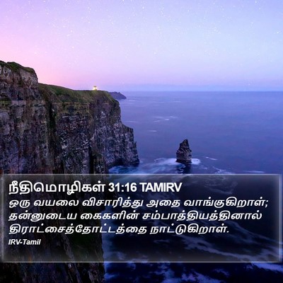 நீதிமொழிகள் 31:16 TAMIRV Bible Verse Image