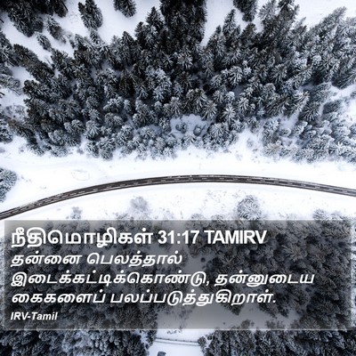 நீதிமொழிகள் 31:17 TAMIRV Bible Verse Image