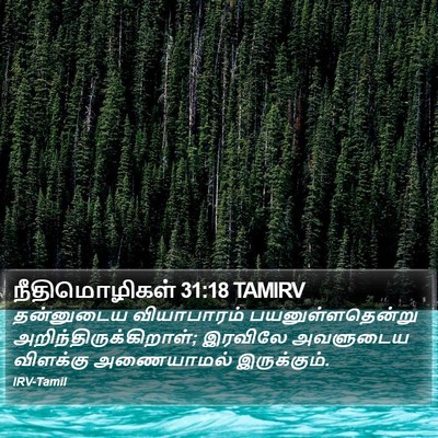 நீதிமொழிகள் 31:18 TAMIRV Bible Verse Image