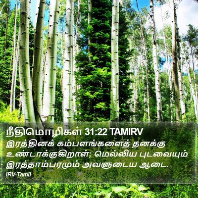 நீதிமொழிகள் 31:22 TAMIRV Bible Verse Image