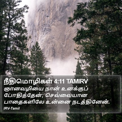 நீதிமொழிகள் 4:11 TAMIRV Bible Verse Image