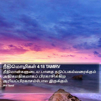 நீதிமொழிகள் 4:18 TAMIRV Bible Verse Image