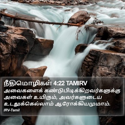 நீதிமொழிகள் 4:22 TAMIRV Bible Verse Image
