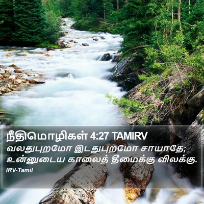 நீதிமொழிகள் 4:27 TAMIRV Bible Verse Image