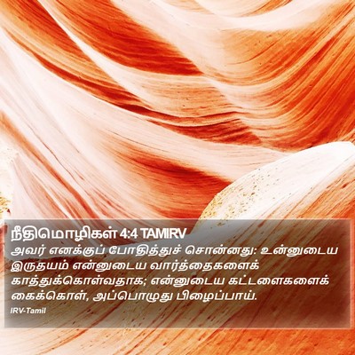 நீதிமொழிகள் 4:4 TAMIRV Bible Verse Image