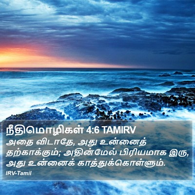 நீதிமொழிகள் 4:6 TAMIRV Bible Verse Image