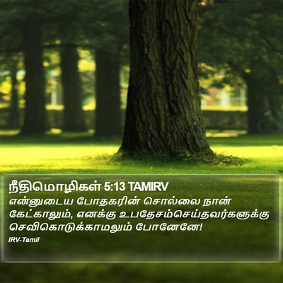 நீதிமொழிகள் 5:13 TAMIRV Bible Verse Image