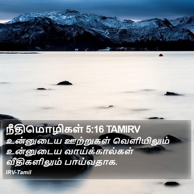 நீதிமொழிகள் 5:16 TAMIRV Bible Verse Image