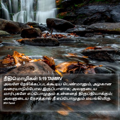 நீதிமொழிகள் 5:19 TAMIRV Bible Verse Image