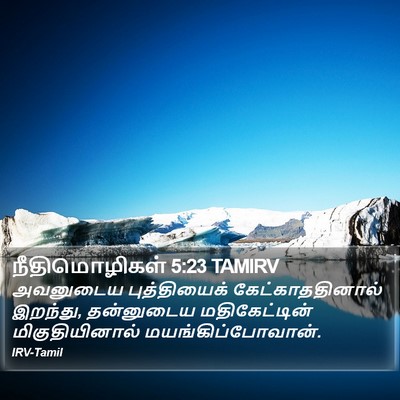 நீதிமொழிகள் 5:23 TAMIRV Bible Verse Image