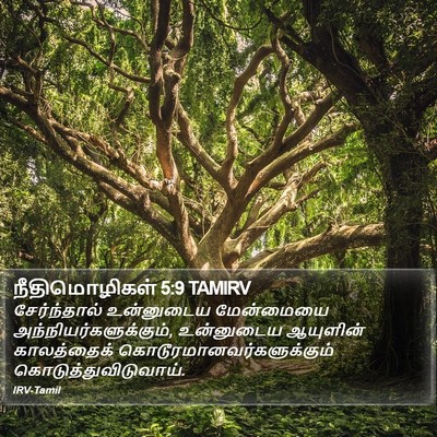 நீதிமொழிகள் 5:9 TAMIRV Bible Verse Image