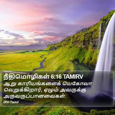 நீதிமொழிகள் 6:16 TAMIRV Bible Verse Image