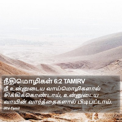 நீதிமொழிகள் 6:2 TAMIRV Bible Verse Image