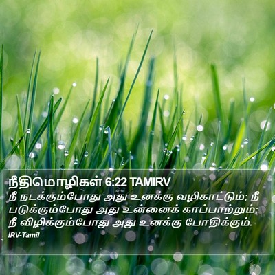 நீதிமொழிகள் 6:22 TAMIRV Bible Verse Image