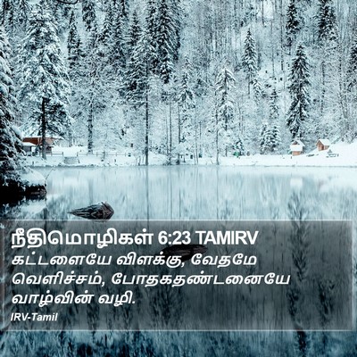 நீதிமொழிகள் 6:23 TAMIRV Bible Verse Image