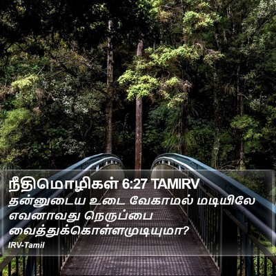 நீதிமொழிகள் 6:27 TAMIRV Bible Verse Image