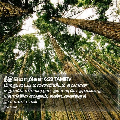 நீதிமொழிகள் 6:29 TAMIRV Bible Verse Image