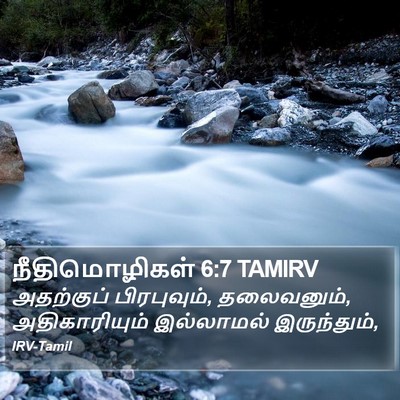நீதிமொழிகள் 6:7 TAMIRV Bible Verse Image