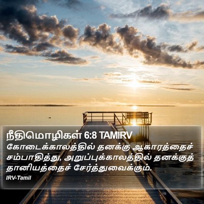 நீதிமொழிகள் 6:8 TAMIRV Bible Verse Image