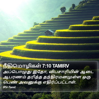 நீதிமொழிகள் 7:10 TAMIRV Bible Verse Image
