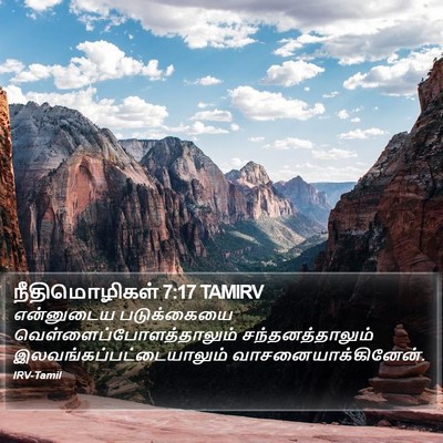 நீதிமொழிகள் 7:17 TAMIRV Bible Verse Image
