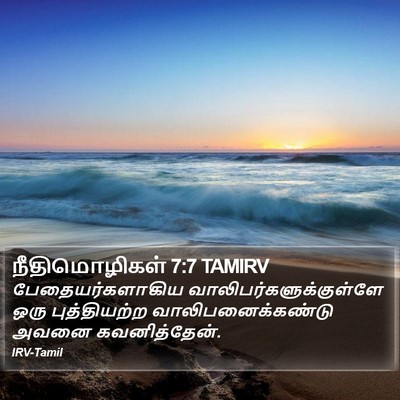 நீதிமொழிகள் 7:7 TAMIRV Bible Verse Image