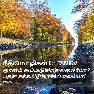 நீதிமொழிகள் 8:1 TAMIRV Bible Verse Image