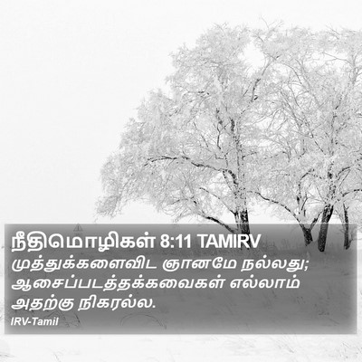 நீதிமொழிகள் 8:11 TAMIRV Bible Verse Image