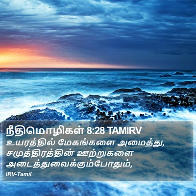 நீதிமொழிகள் 8:28 TAMIRV Bible Verse Image