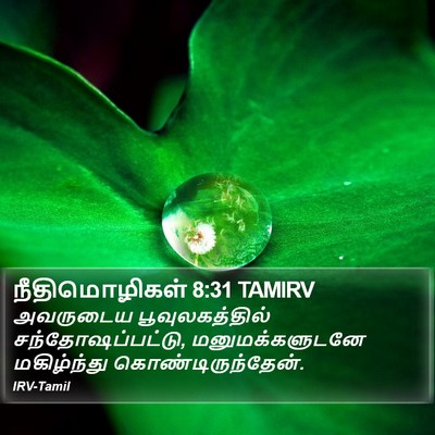 நீதிமொழிகள் 8:31 TAMIRV Bible Verse Image