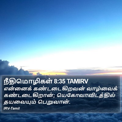 நீதிமொழிகள் 8:35 TAMIRV Bible Verse Image
