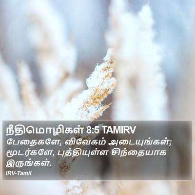 நீதிமொழிகள் 8:5 TAMIRV Bible Verse Image