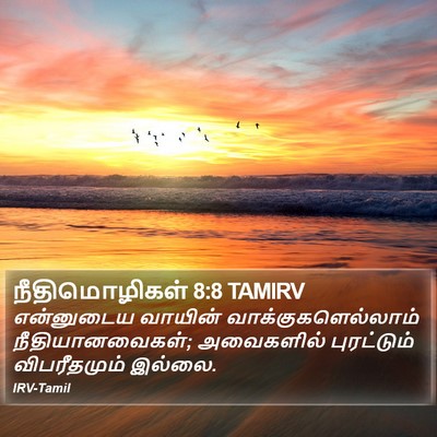 நீதிமொழிகள் 8:8 TAMIRV Bible Verse Image