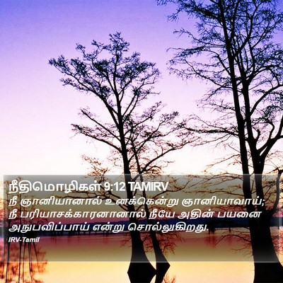நீதிமொழிகள் 9:12 TAMIRV Bible Verse Image