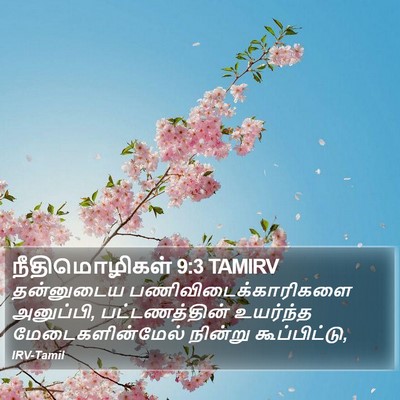 நீதிமொழிகள் 9:3 TAMIRV Bible Verse Image