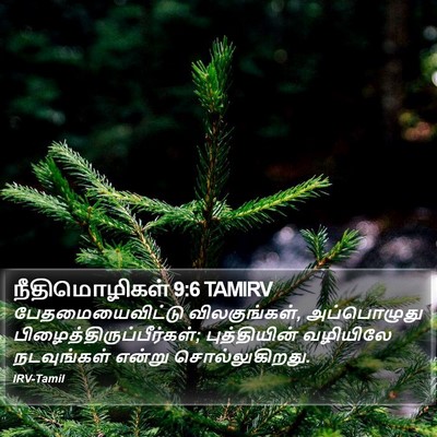 நீதிமொழிகள் 9:6 TAMIRV Bible Verse Image