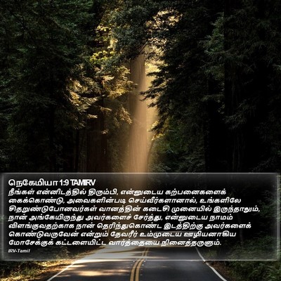 நெகேமியா 1:9 TAMIRV Bible Verse Image