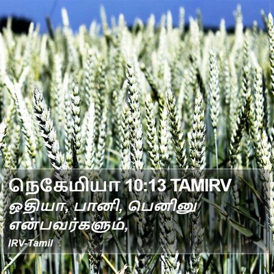 நெகேமியா 10:13 TAMIRV Bible Verse Image