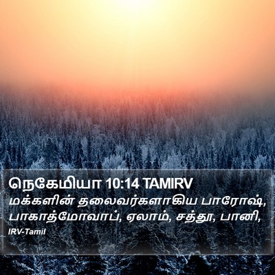 நெகேமியா 10:14 TAMIRV Bible Verse Image