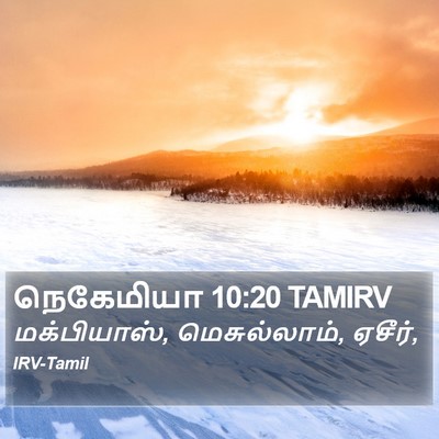 நெகேமியா 10:20 TAMIRV Bible Verse Image