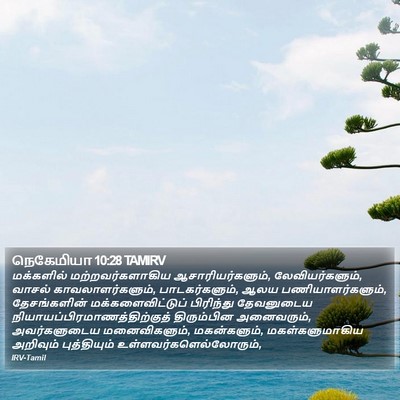 நெகேமியா 10:28 TAMIRV Bible Verse Image