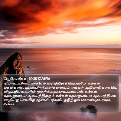 நெகேமியா 10:36 TAMIRV Bible Verse Image