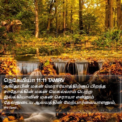 நெகேமியா 11:11 TAMIRV Bible Verse Image