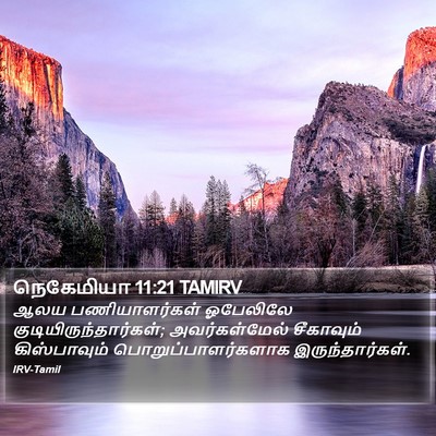 நெகேமியா 11:21 TAMIRV Bible Verse Image